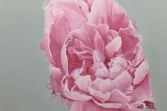 Peony